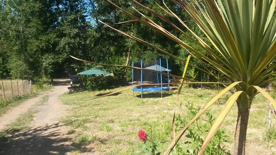 Cabanas Rucalhue Salto Del Laja Cabrero Kültér fotó