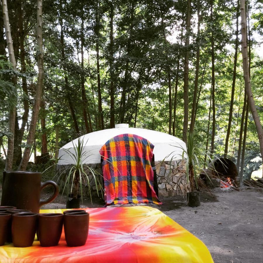 Cabanas Rucalhue Salto Del Laja Cabrero Kültér fotó